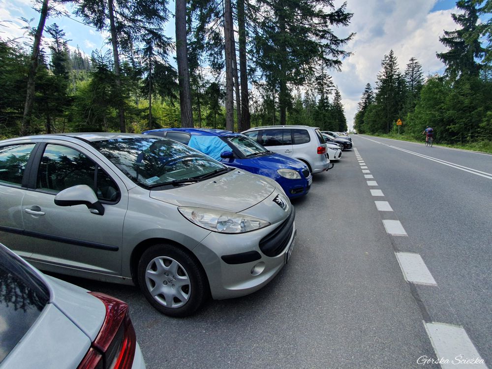 Hala Gąsienicowa z Brzezin: Parking Brzeziny