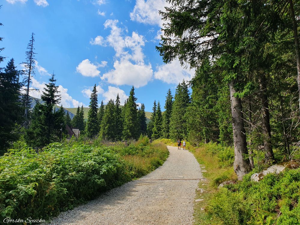 Hala Gąsienicowa z Brzezin: Szlak czarny przed Halą Gąsienicową