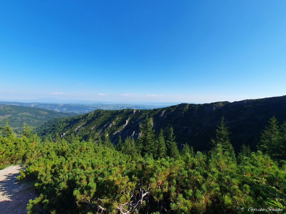 Hala Gąsienicowa: Panorama ze szlaku przed Przełęczą