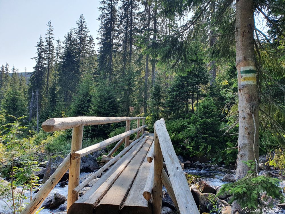 Przełęcz Krzyżne: Mostek w dolnej części Doliny Gąsienicowej