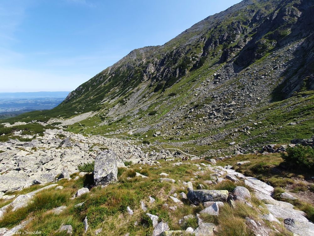 Przełęcz Krzyżne: Szlak żółty przez Dolinę Pańszczycy