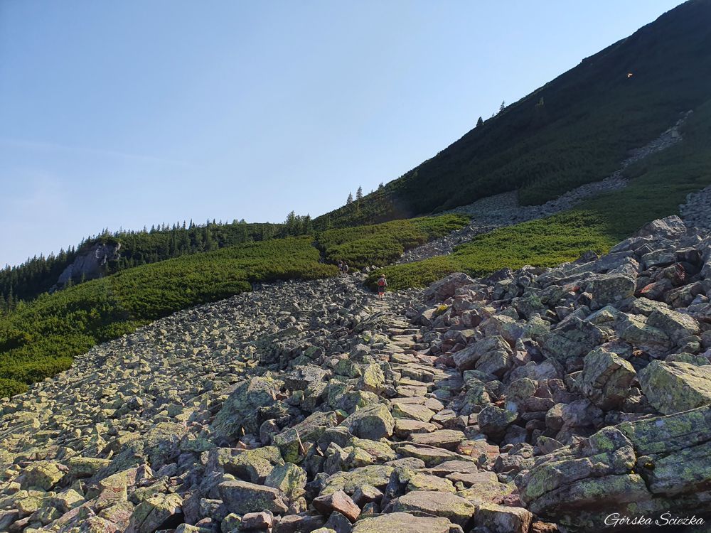 Przełęcz Krzyżne: Rumowisko skalne pod zboczem Żółtej Turni