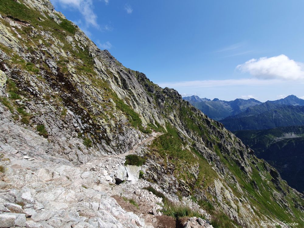 Przełęcz Krzyżne: Fragment szlaku żółtego