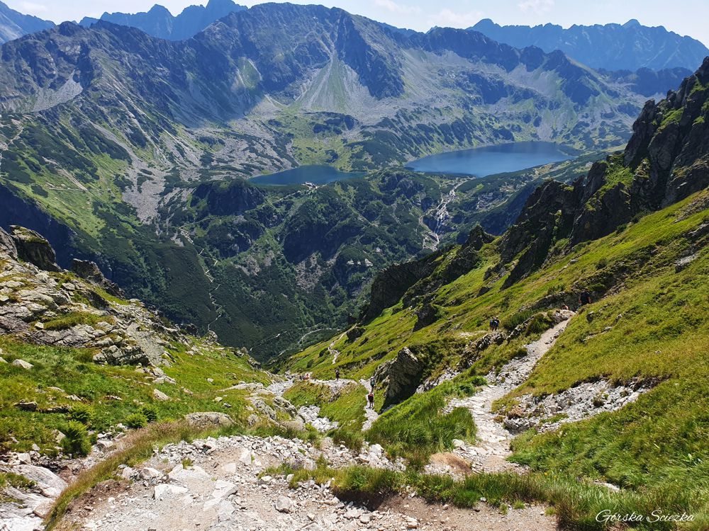 Przełęcz Krzyżne: Zejście do Doliny Roztoki