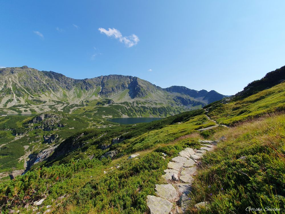 Przełęcz Krzyżne: Łagodniejsza część szlaku