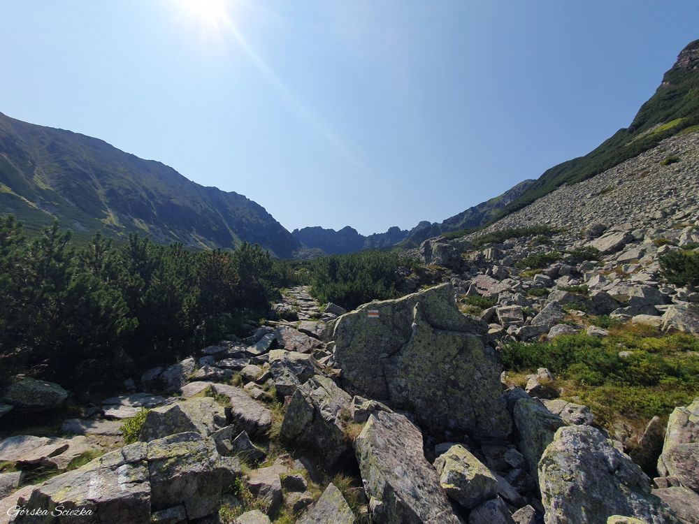 Przełęcz Krzyżne: Szlak żółty w Dolinie Pańczycy