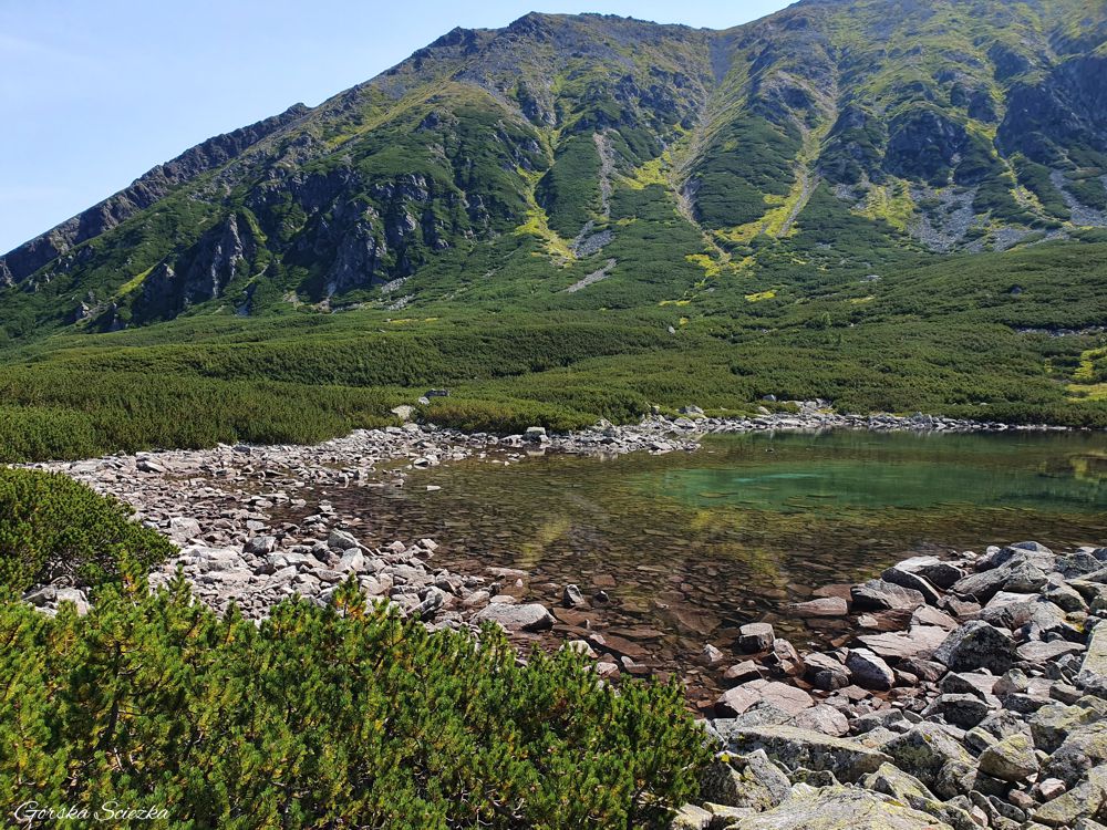 Przełęcz Krzyżne: Czerwony Staw w Dolinie Pańszczycy