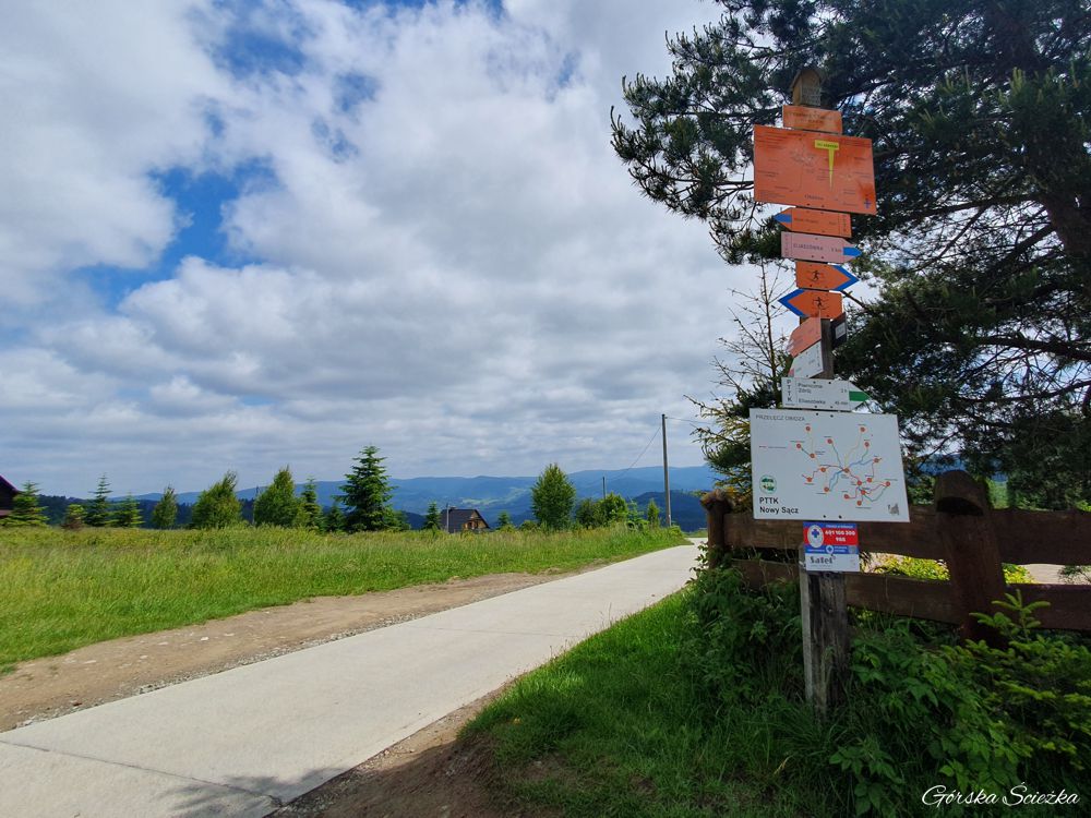 Radziejowa z Obidzy: Początek trasy od Bacówki