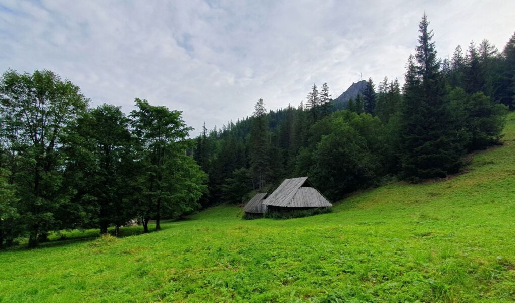 Dolina Strążyska polana