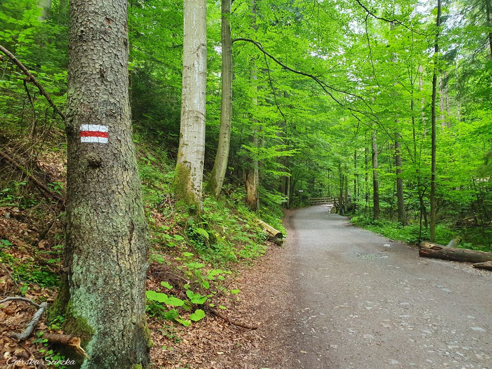 Dolina Strążyska: Początek szlaku czerwonego