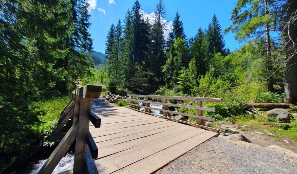 Dolina Olczyska (Polana Olczyska)