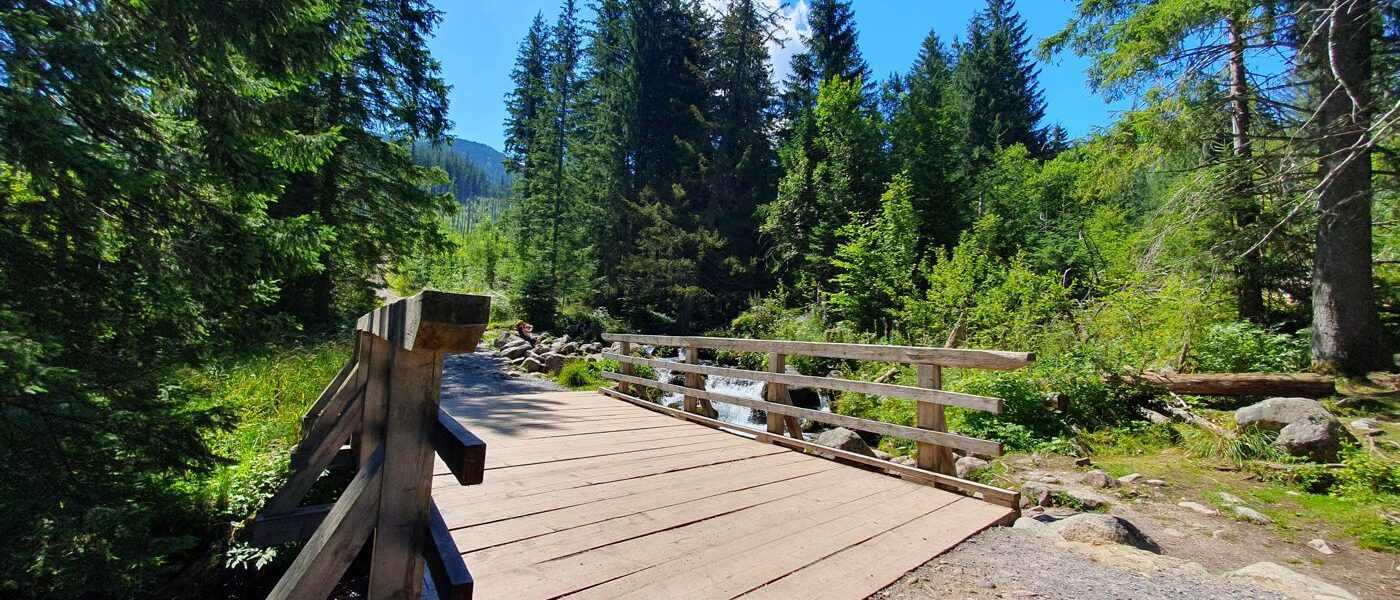 Dolina Olczyska (Polana Olczyska)