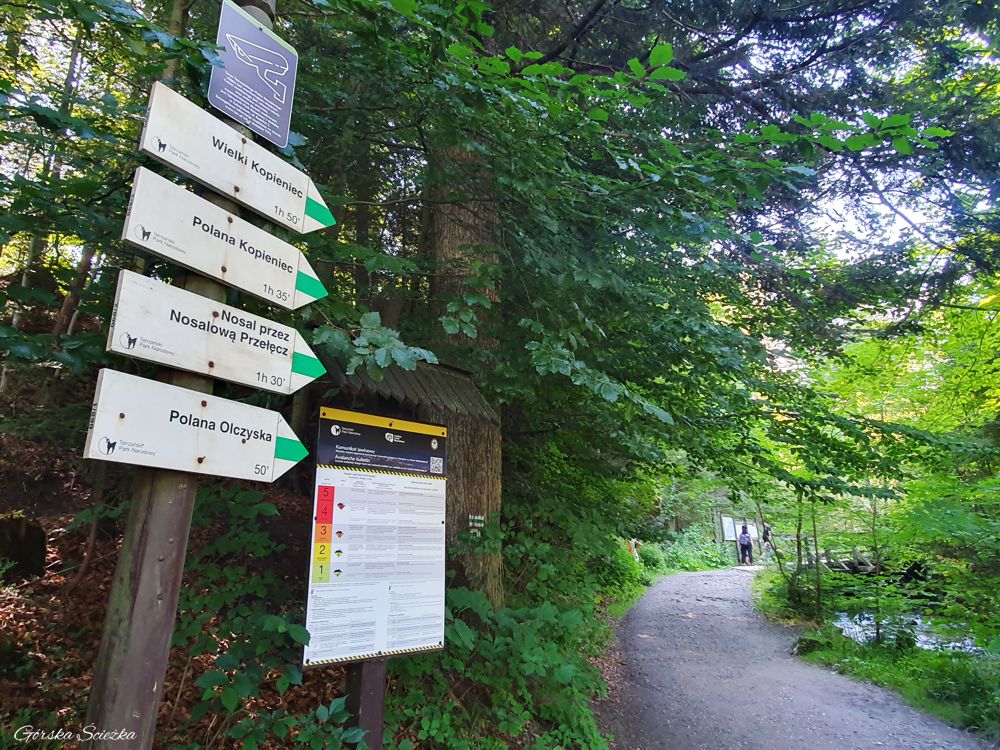 Dolina Olczyska: Szlakowskaz przy początku szlaku zielonego