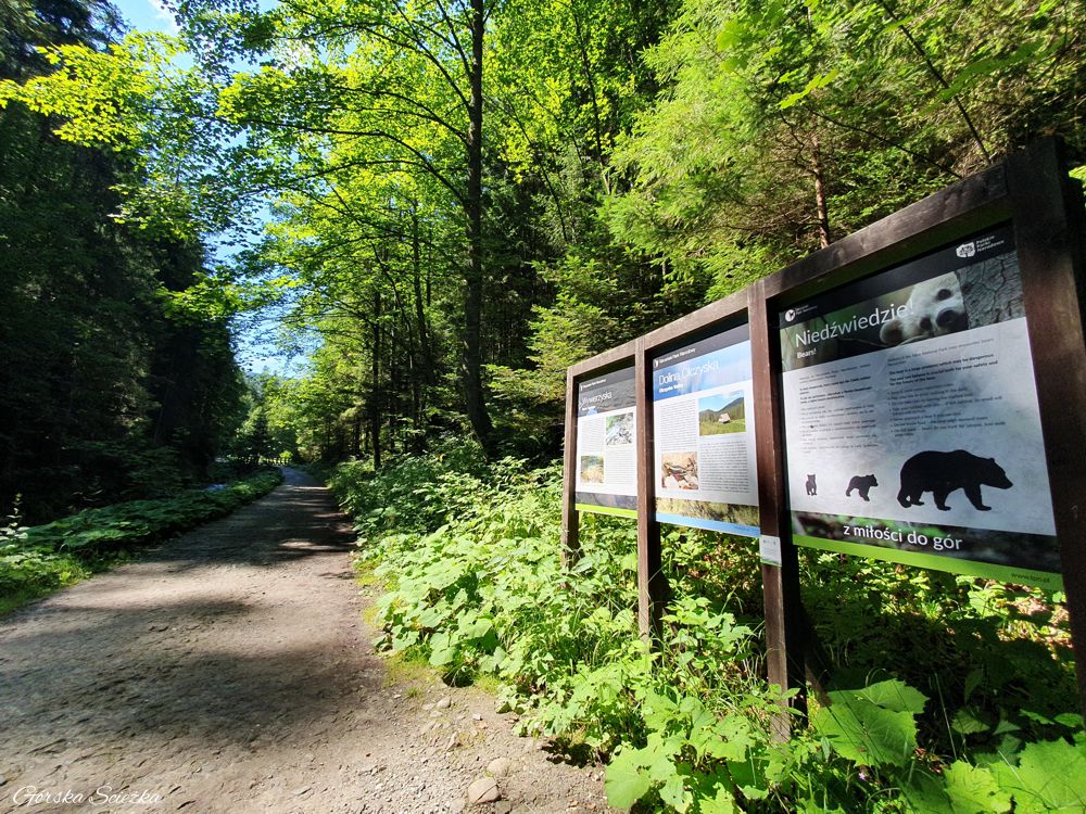 Dolina Olczyska: Początek szlaku zielonego