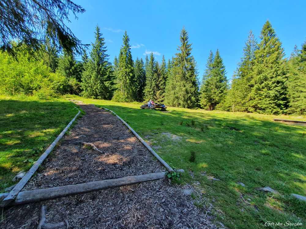 Dolina Olczyska: Część wypoczynkowa Polany Olczyskiej