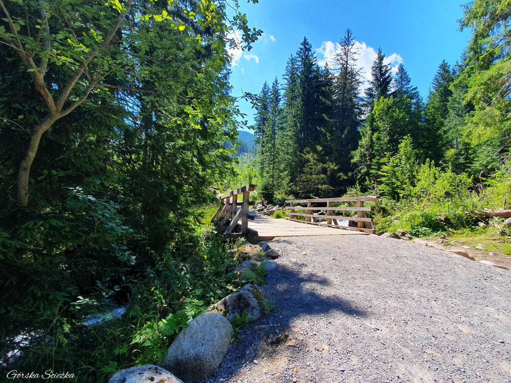 Dolina Olczyska: Mostek przy Polanie Olczyskiej