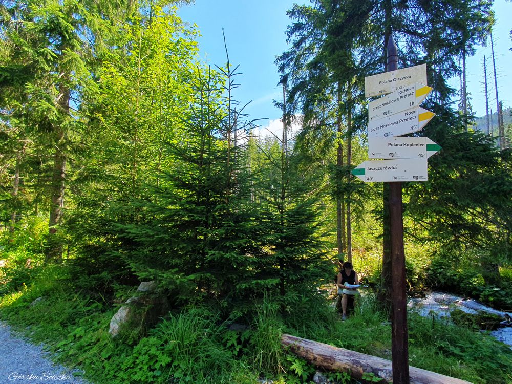 Dolina Olczyska: Polana Olczyska