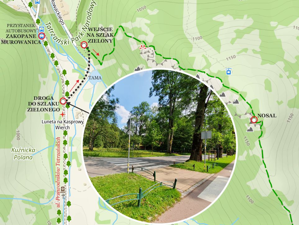 Nosal: Miejsce wejścia na szlak zielony na Nosal