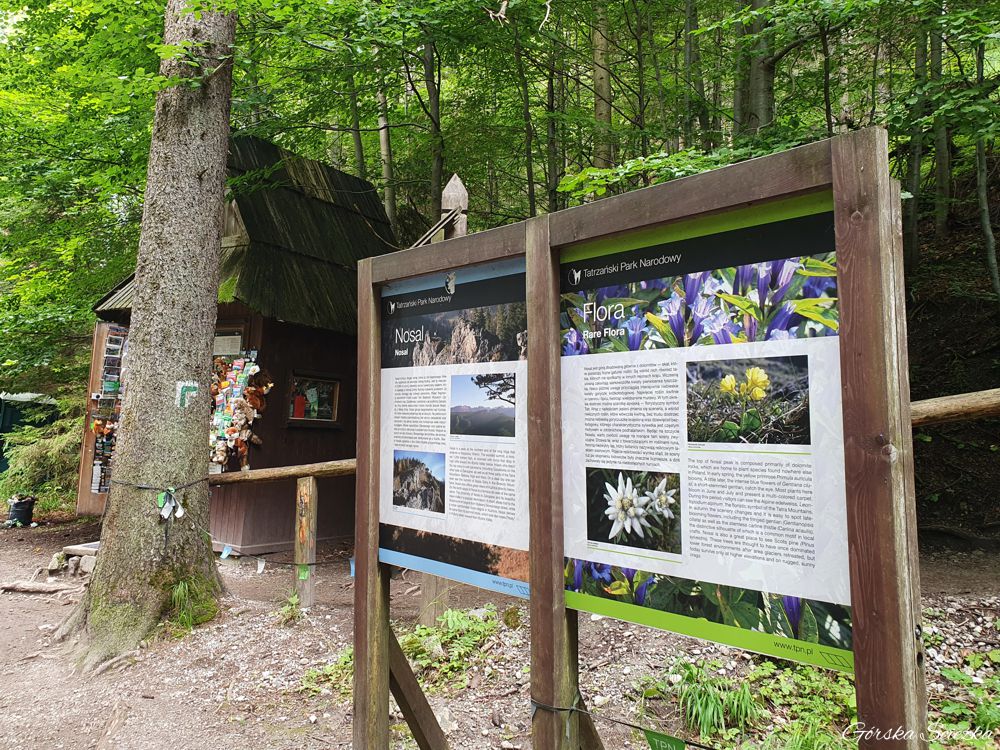 Nosal: Początek szlaku na Nosal przy kasie TPN