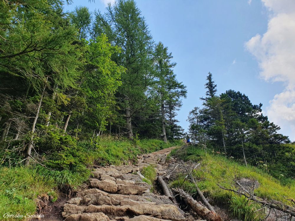 Nosal: Przebieg szlaku zielonego