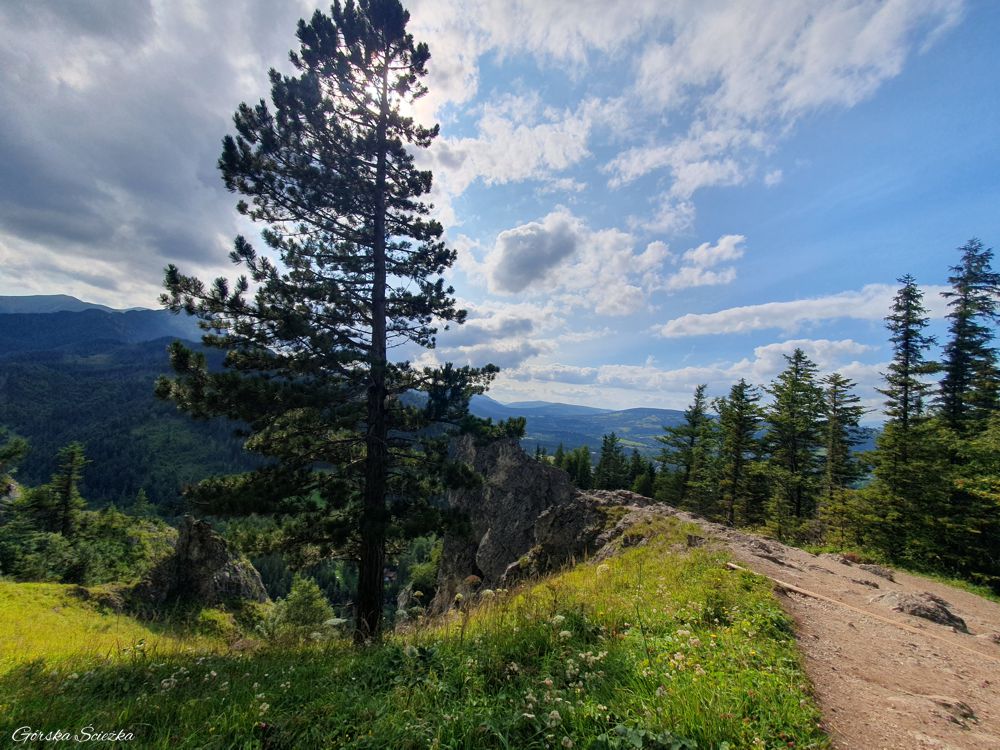 Nosal: Przebieg szlaku zielonego