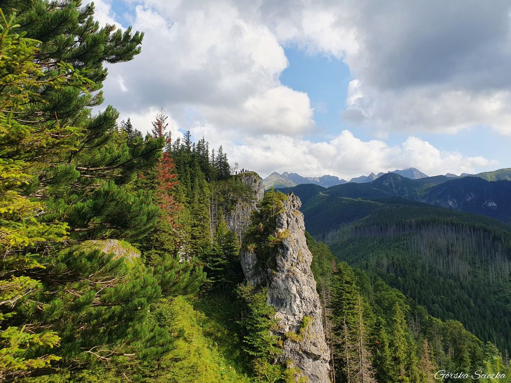 Nosal: Widok na Nosal ze szlaku zielonego
