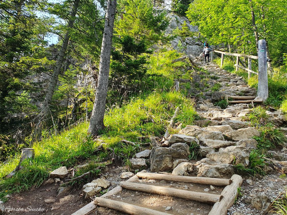 Nosal: Zejście do Nosalowej Przełęczy