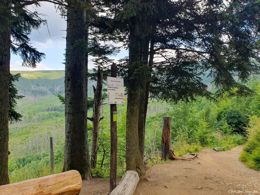 Nosal: Nosalowa Przełęcz