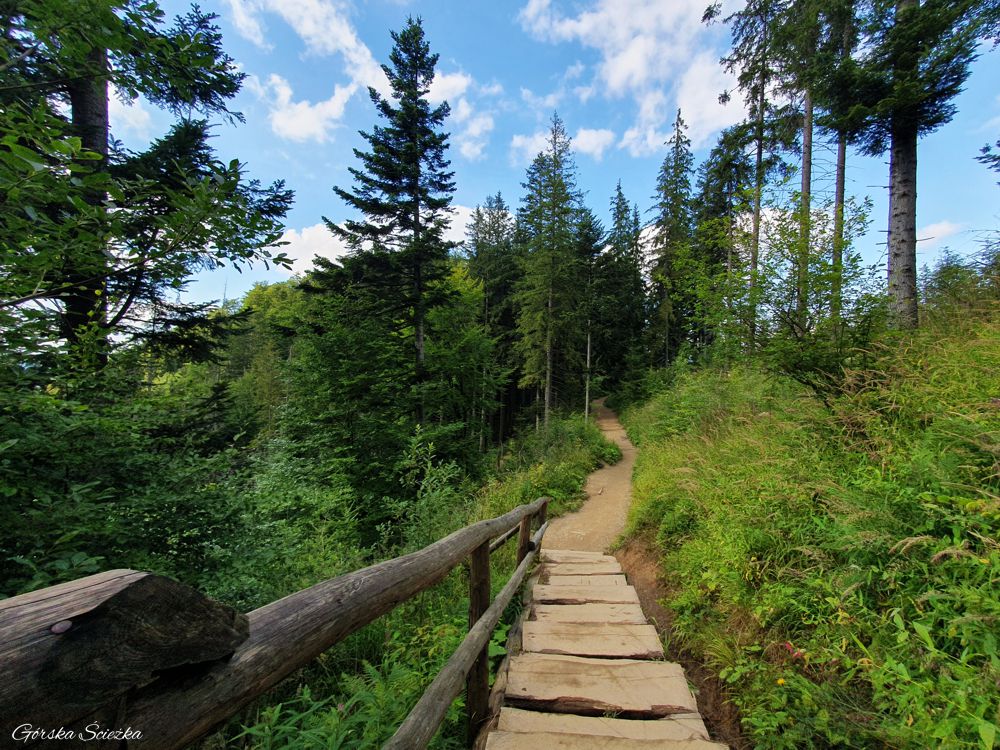 Nosal: Trasa do Kuźnic