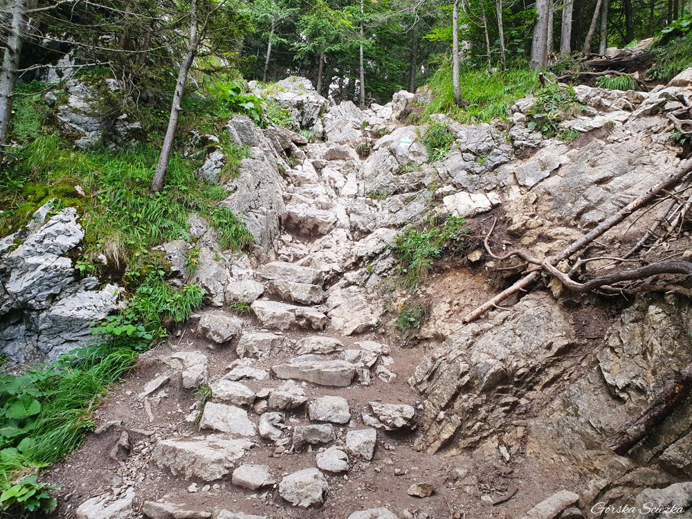 Nosal: Kamienna ścianka na szlaku zielonym