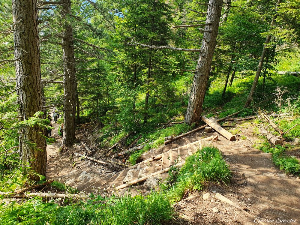 Nosal: Podejście szlakiem zielonym