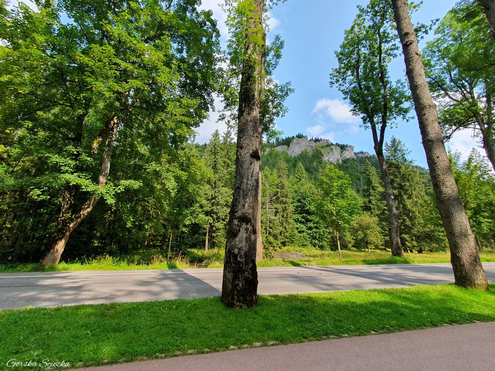 Nosal: ul. Przewodników Tatrzańskich, w tle Nosal