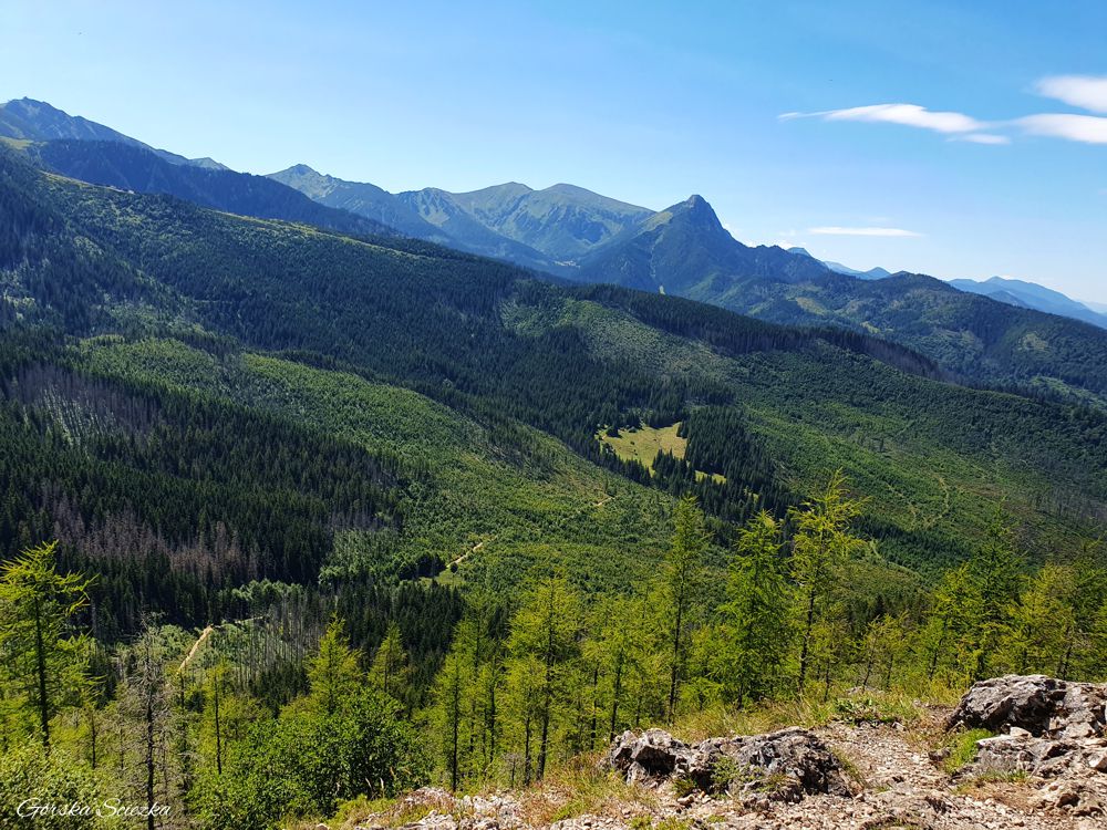 Wielki Kopieniec: Panorama z Wielkiego Kopieńca