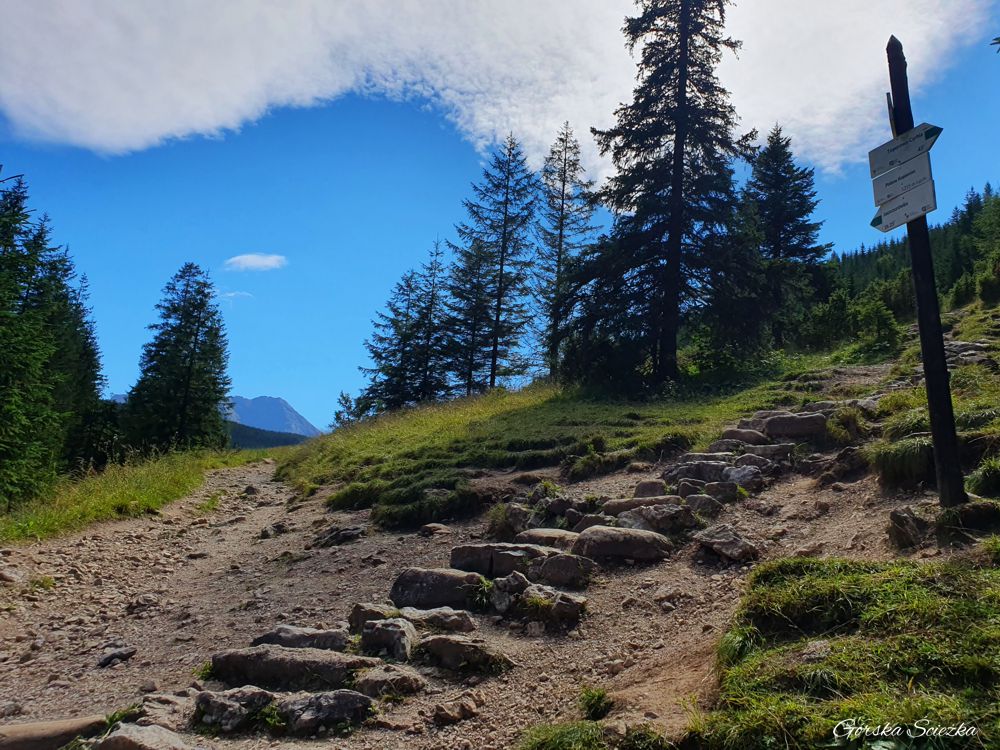 Wielki Kopieniec: Kierunkowskaz przy zejściu ze szczytu