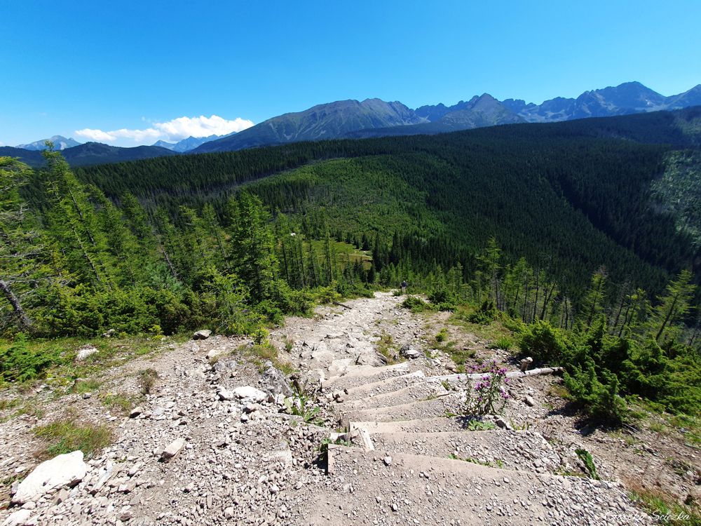 Wielki Kopieniec: Panorama z Wielkiego Kopieńca