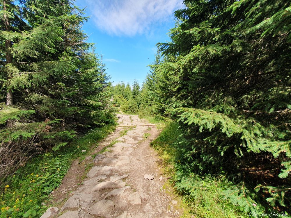 Wielki Kopieniec: Łatwiejsza trasa prowadząca ze szczytu