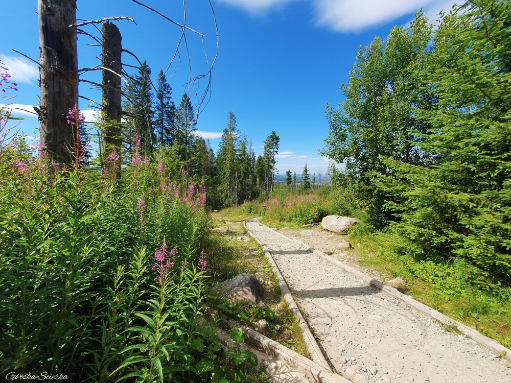 Wielki Kopieniec: Szlak Toporowa Cyrhla