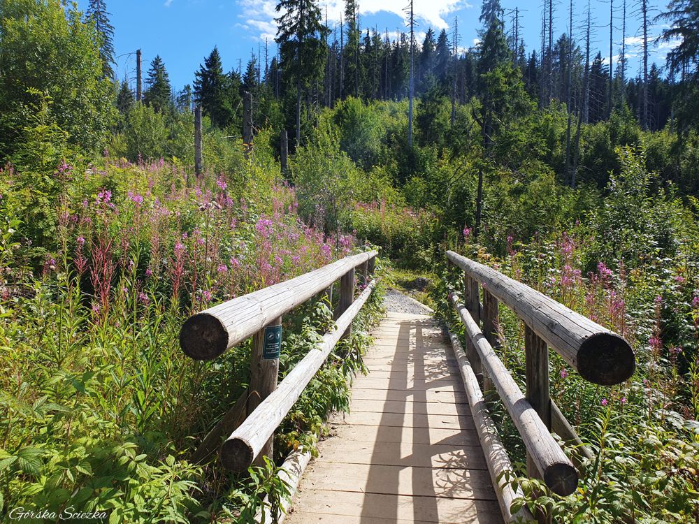 Wielki Kopieniec: Mostek za rozwidlenie dróg