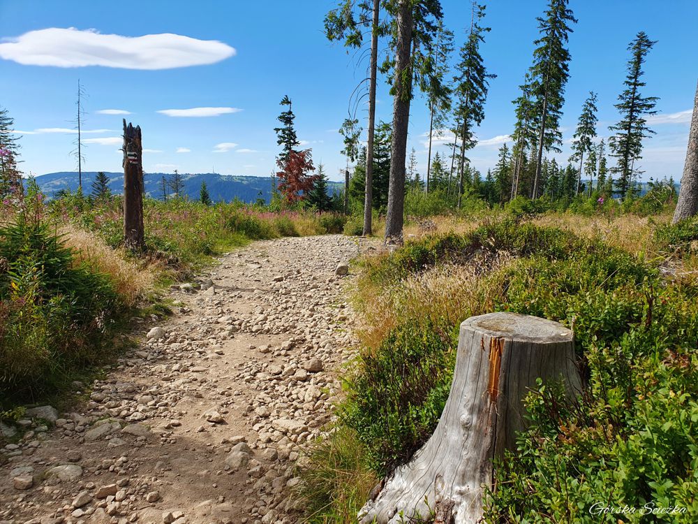 Wielki Kopieniec: Pierwszy fragment dwukolorowego szlaku