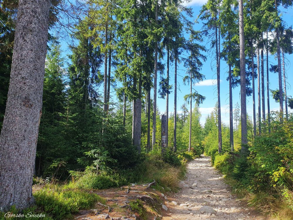 Wielki Kopieniec: Pierwszy fragment dwukolorowego szlaku