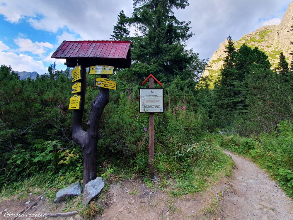 Popradzki Staw (szlak niebieski): Odejście żółtego szlaku w stronę cmentarza