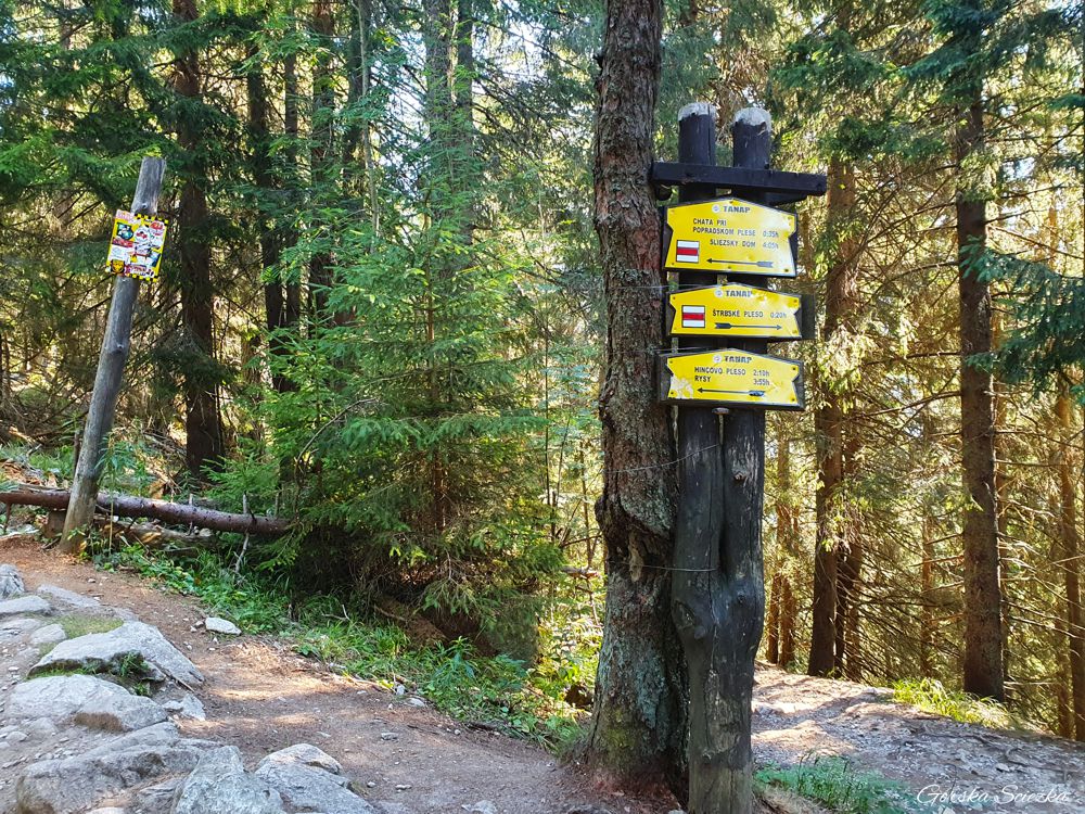 Miejsce skrzyżowania szlaków