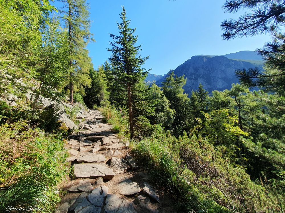 Popradzki Staw (Szlak czerwony): Przebieg szlaku czerwonego