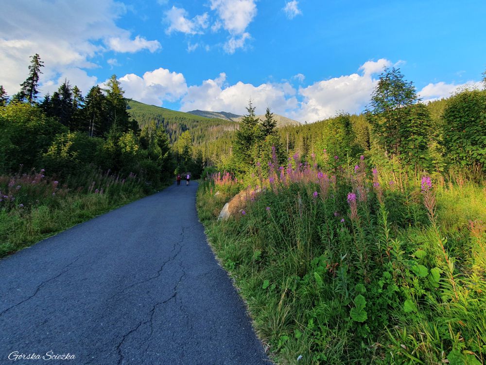Popradzki Staw (szlak niebieski): Początek szlaku niebieskiego