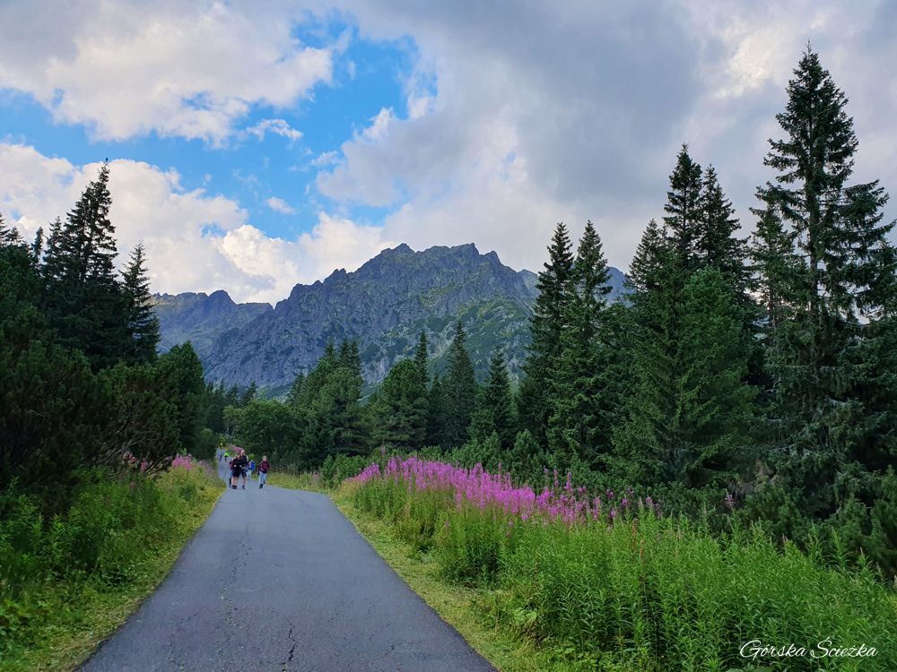 Popradzki Staw (szlak niebieski): Końcowy odcinek szlaku niebieskiego