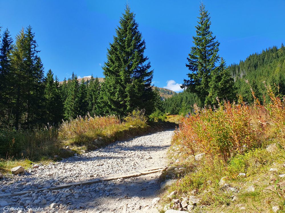 Hala Kondratowa: Wejście na Halę Kondratową