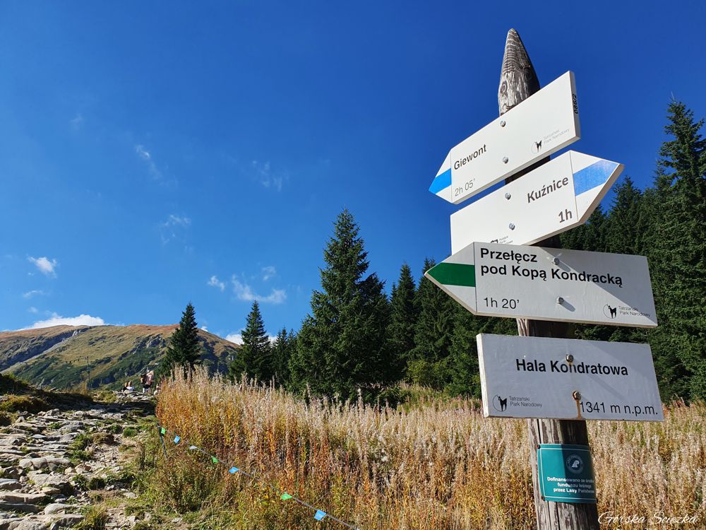 Hala Kondratowa w Tatrach