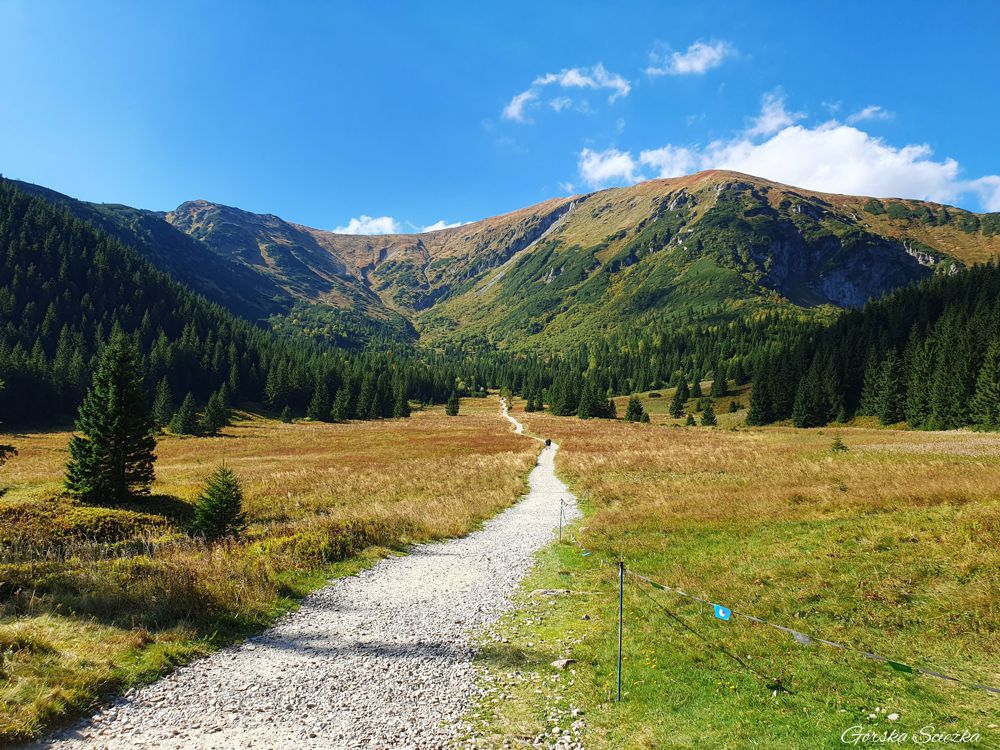 Hala Kondratowa: Widok na Halę Kondratową i Kopę Kondracką