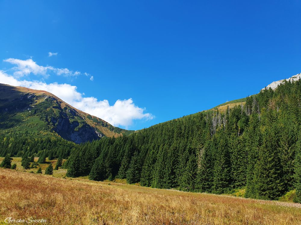 Hala Kondratowa: Widok na Halę Kondratową