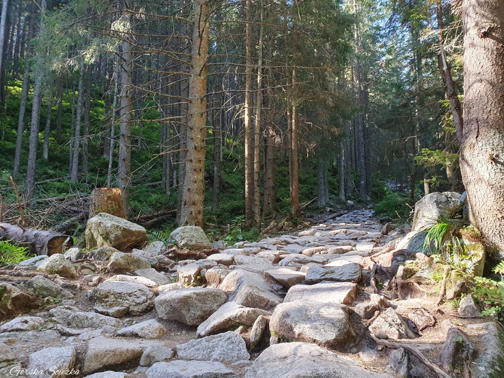 Hala Kondratowa: Dalszy fragment szlaku niebieskiego na Halę